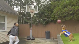 Good Dog Throws A Mean Alley-Oop